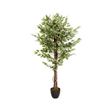 Piante artificiali verdi FICUS con fusto intrecciato in un vaso nero di hjh OFFICE – vista a 360° (vista frontale 0°)