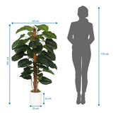Disegno dimensionale della Piante artificiali EPIPREMNUM con altezza di 155 cm e larghezza di 67 cm di hjh OFFICE