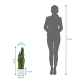 Vista dimensionale della Piante artificiali SANSEVIERIA con un'altezza di 65 cm accanto alla silhouette di una persona di hjh OFFICE