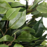 Foglie verdi della pianta artificiale FICUS II di hjh OFFICE