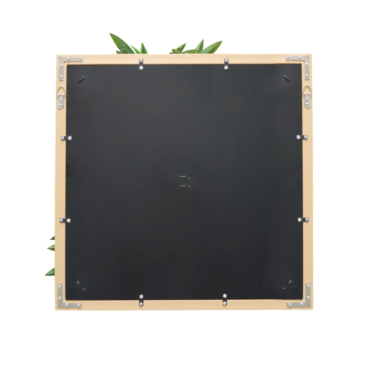 Retro del Pannello vegetale LEAFLUXE WALL 1 quadrato in nero con ferramenta metallica di hjh LIVING
