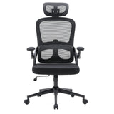 MC102C-M101 | Sihoo - Sedia da ufficio professionale 