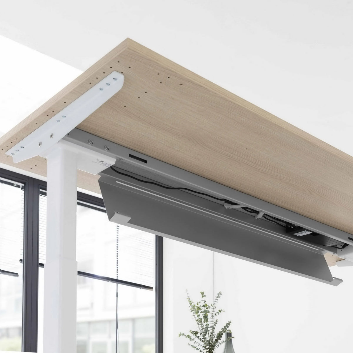 Sottostruttura e piano in rovere rustico della scrivania regolabile elettricamente in altezza XBHM 16 WW di hjh OFFICE PRO