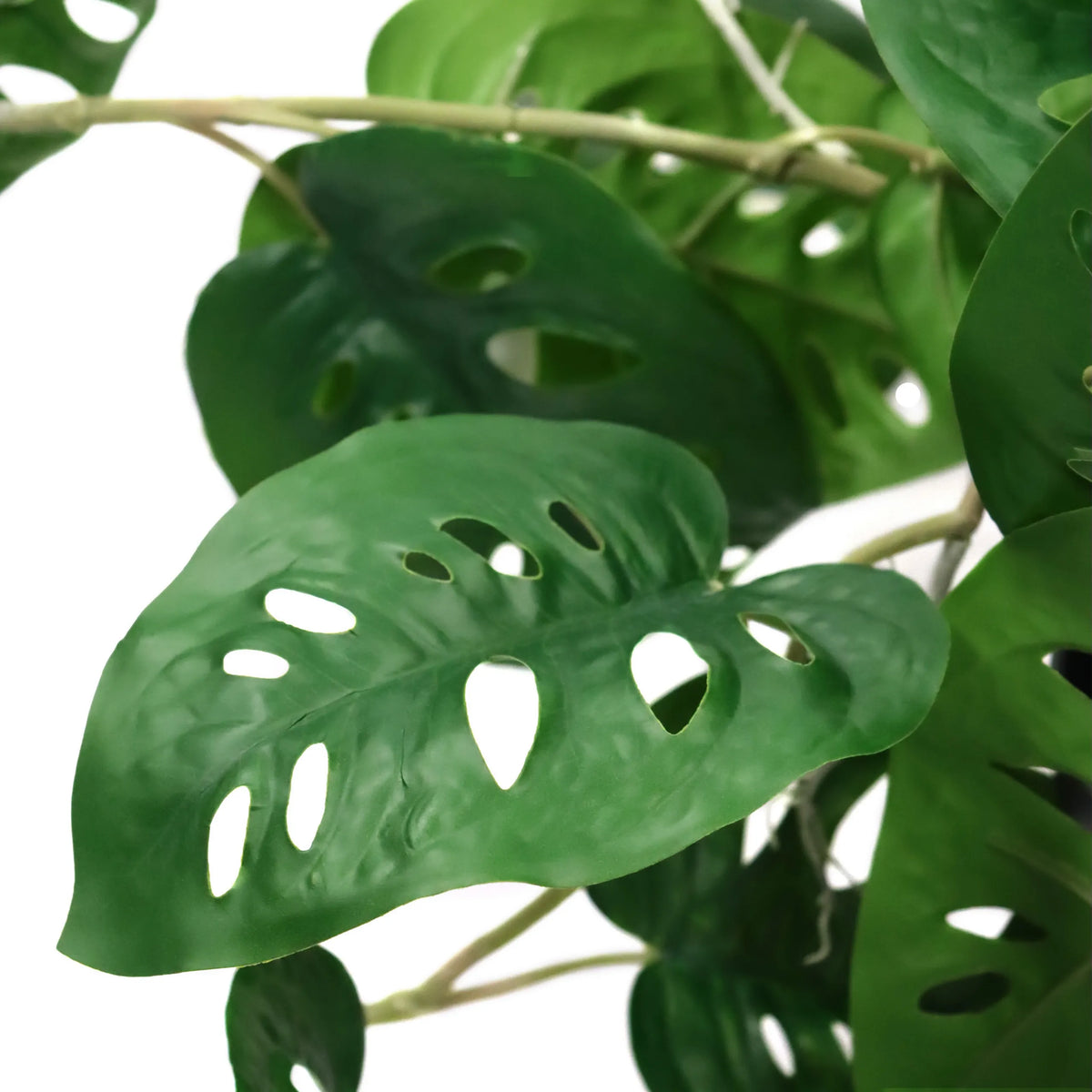 Foglie verdi della Piante artificiali MONSTERA CLIMB con fori caratteristici di hjh OFFICE