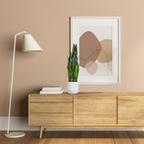 Pianta artificiale verde SANSEVIERIA in un vaso bianco su una credenza in legno di hjh OFFICE
