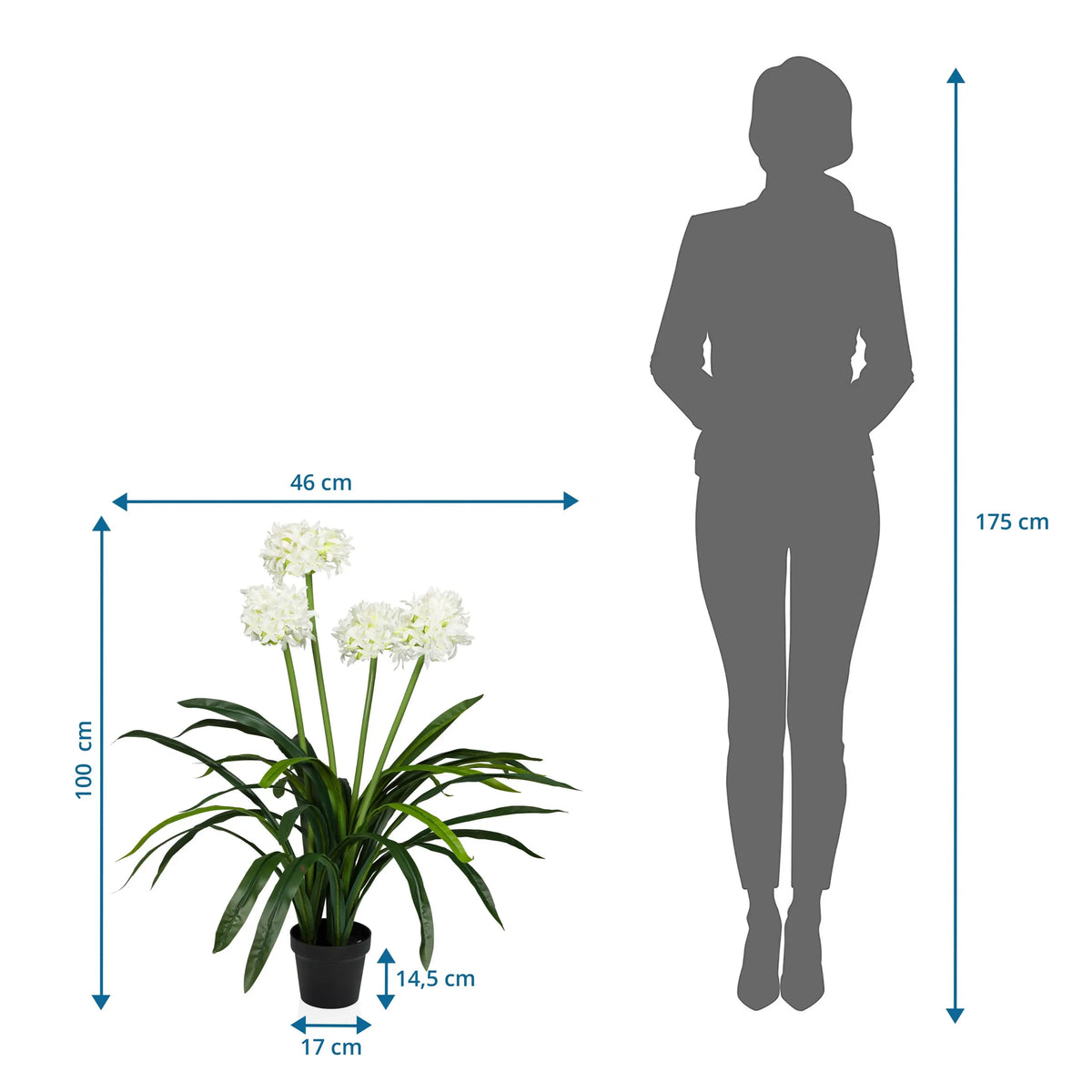 Disegno tecnico della Piante artificiali AGAPANTHUS con un'altezza di 100 cm e una larghezza di 46 cm di hjh OFFICE