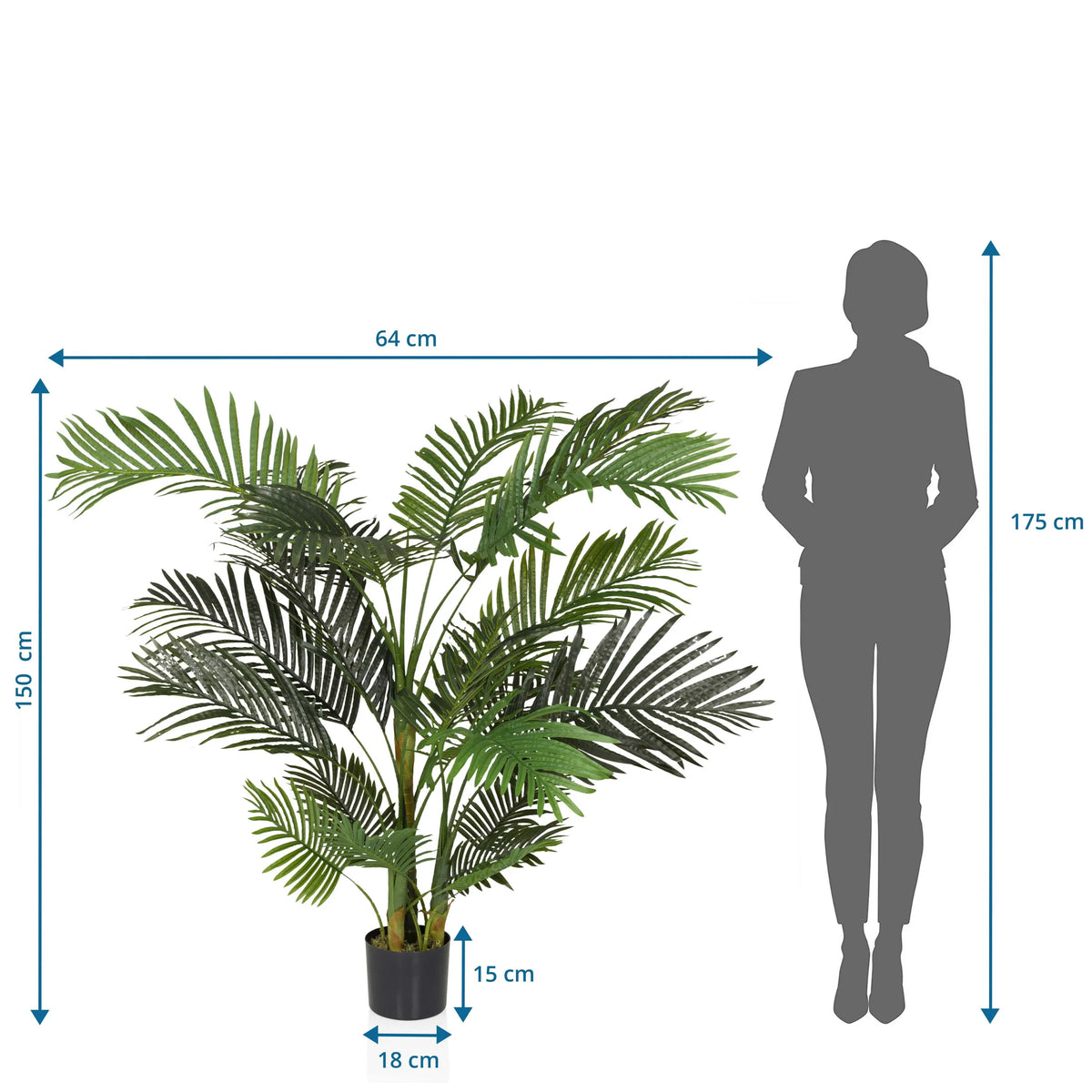 Disegno tecnico della Piante artificiali ARECA II con altezza 150 cm e larghezza 64 cm di hjh OFFICE