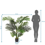 Disegno tecnico della Piante artificiali ARECA II con altezza 150 cm e larghezza 64 cm di hjh OFFICE