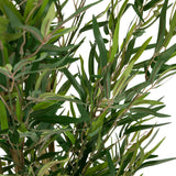 Foglie verdi della Piante artificiali BAMBUS di hjh OFFICE