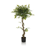 Pianta artificiale verde FICUS I con fusto intrecciato in un vaso nero di hjh OFFICE – vista a 360° (profilo laterale 90°)