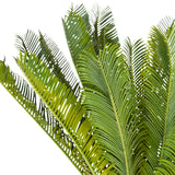 Foglie verdi della Piante artificiali CYCAS di hjh OFFICE