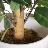 Fusto e foglie della pianta artificiale FICUS II in un vaso bianco di hjh OFFICE