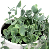 Foglie verdi della pianta artificiale EUCALYPTUS CLIMB in un vaso bianco di hjh OFFICE