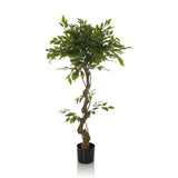 Pianta artificiale verde FICUS I con fusto intrecciato in un vaso nero di hjh OFFICE – vista a 360° (vista frontale 0°)