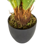 Tronco e vaso esterno nero della Pianta artificiale CYCAS di hjh OFFICE
