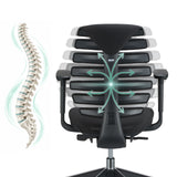 Schienale della sedia da ufficio professionale ERGO LINE II con una rappresentazione schematica di una colonna vertebrale di hjh OFFICE