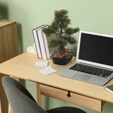 Piante artificiali BONSAI come piccolo bonsai in un vaso nero su una scrivania di hjh OFFICE