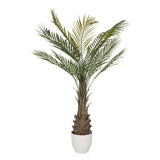 Piante artificiali verde DRACAENA a forma di palma con vaso bianco di hjh OFFICE – vista a 360° (profilo laterale 90°)