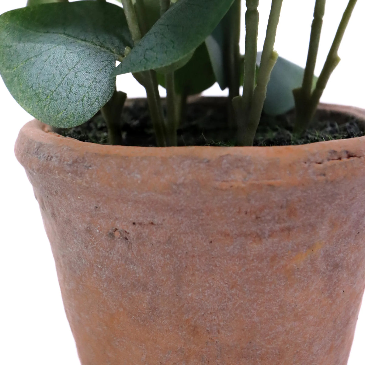 Vaso in terracotta della pianta artificiale Eucalyptus con foglie verdi di hjh OFFICE