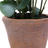 Vaso in terracotta della pianta artificiale Eucalyptus con foglie verdi di hjh OFFICE