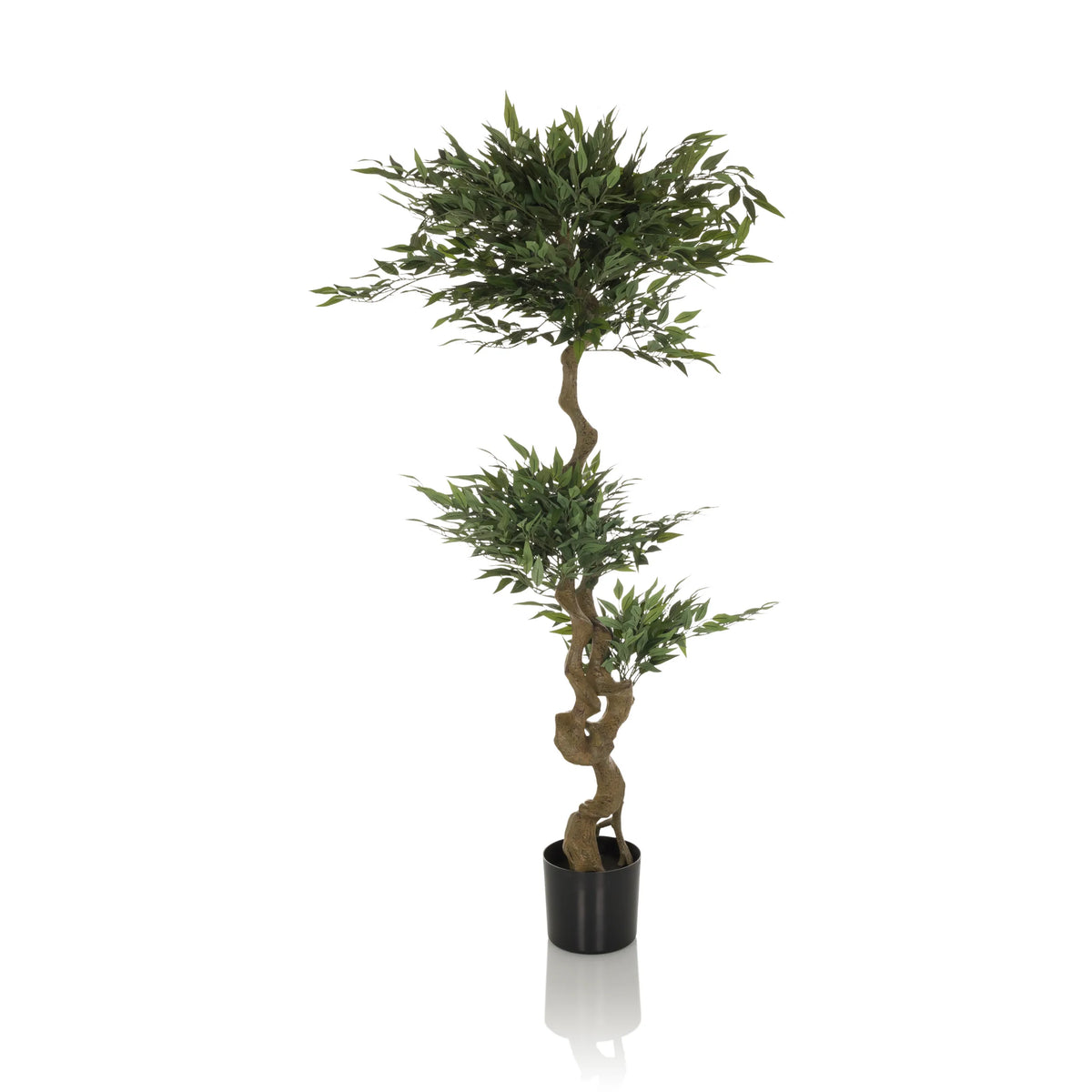 Piante artificiali verdi ACACIA con tronco attorcigliato in vaso nero di hjh OFFICE – vista a 360° (vista frontale 0°)