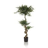 Piante artificiali verdi ACACIA con tronco attorcigliato in vaso nero di hjh OFFICE – vista a 360° (vista frontale 0°)