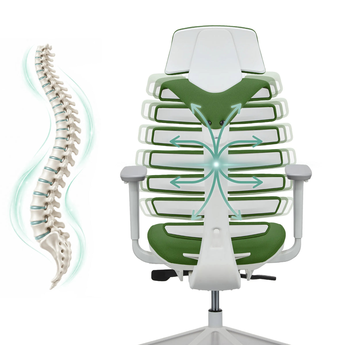 Schienale della sedia da ufficio professionale ERGO LINE W in Mystic Forest con rappresentazione schematica della colonna vertebrale di hjh OFFICE