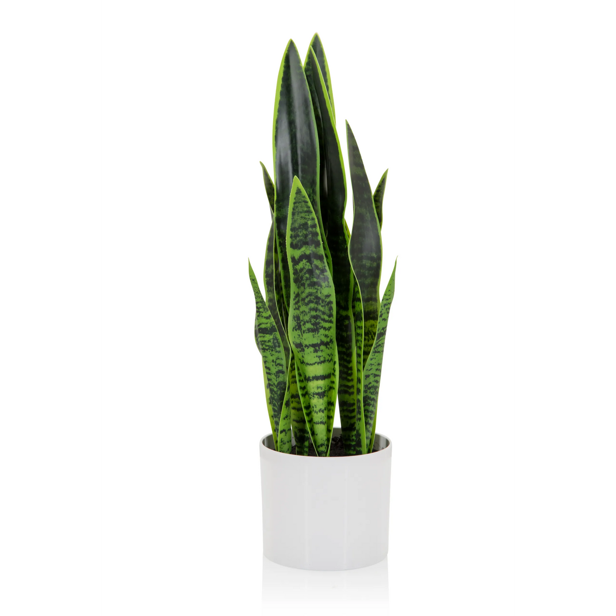 Piante artificiali verdi SANSEVIERIA in un vaso esterno bianco di hjh OFFICE – vista a 360° (vista frontale 0°)