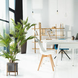 Pianta artificiale verde ARECA I in un vaso grigio su un supporto in legno di hjh OFFICE