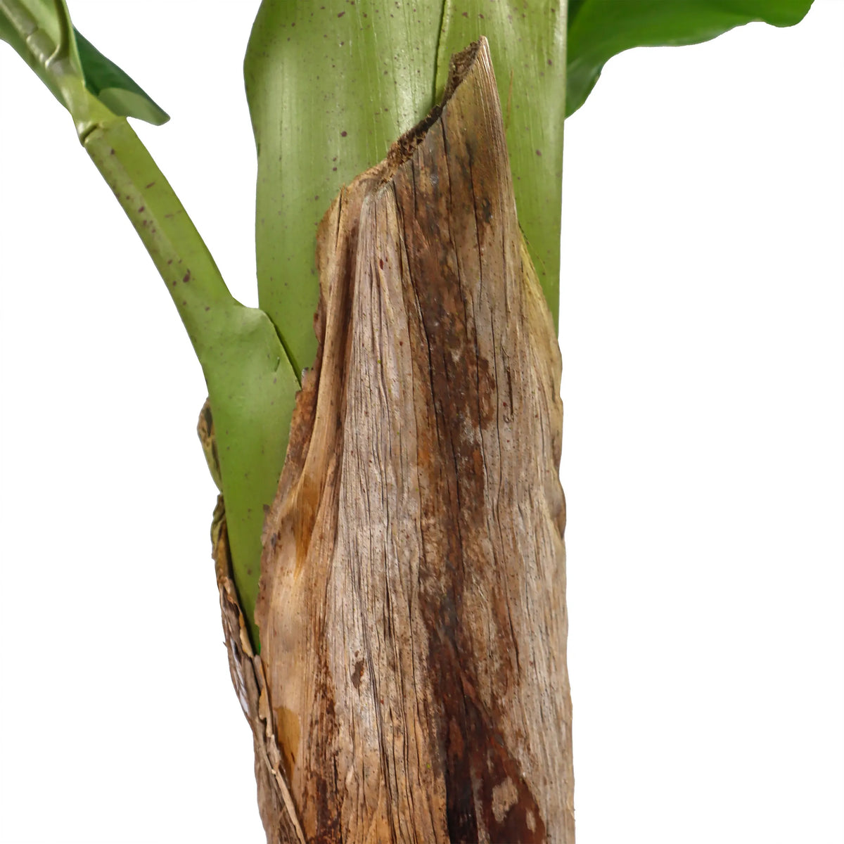 Fusto con corteccia marrone della pianta artificiale BANANE I di hjh OFFICE