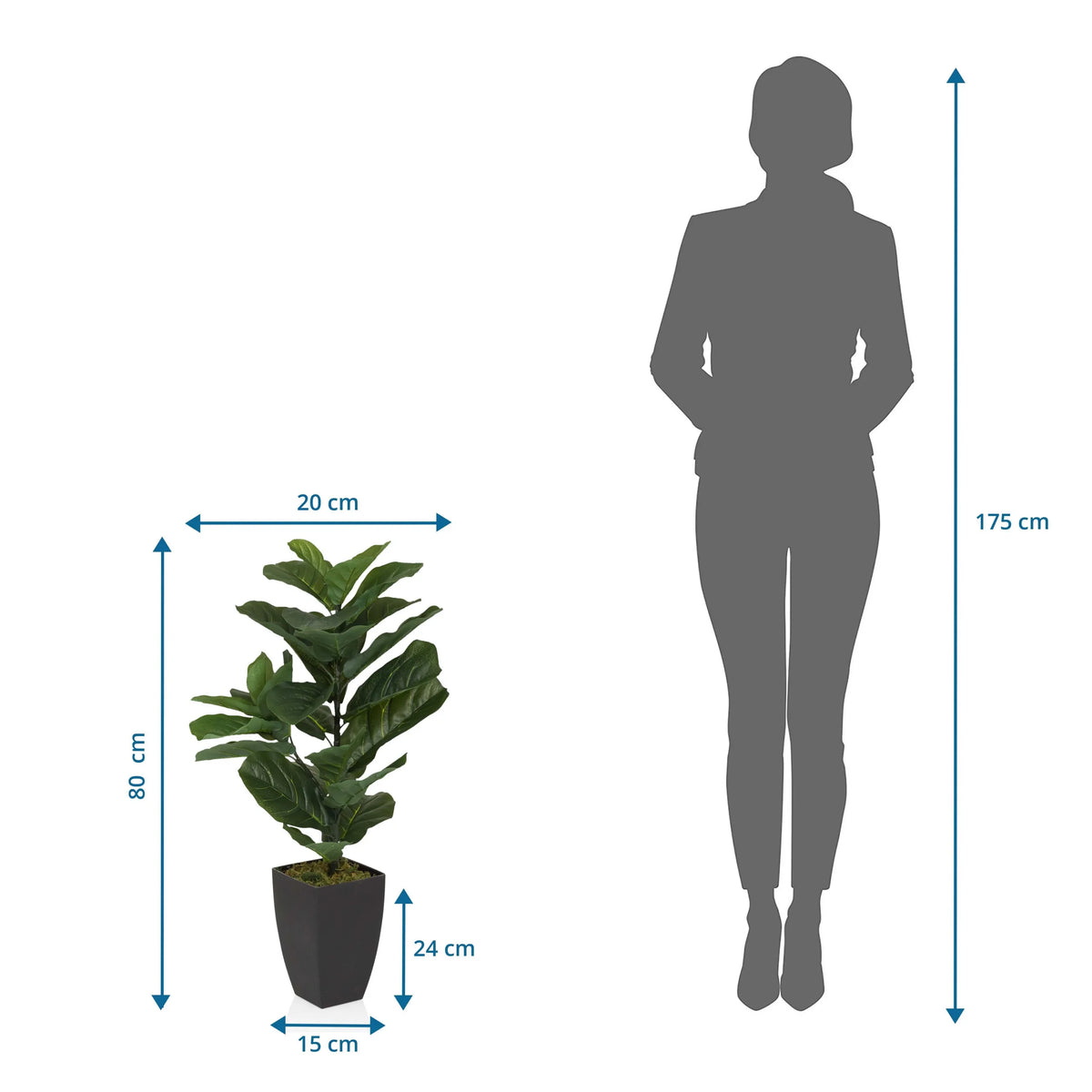 Disegno tecnico della Piante artificiali LYRATA con un'altezza di 80 cm di hjh OFFICE