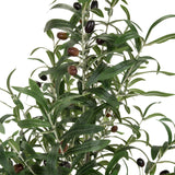 Foglie e olive scure della pianta artificiale OLIVE di hjh OFFICE
