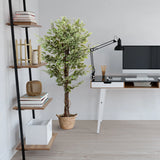 Pianta artificiale FICUS in verde con un cesto intrecciato come vaso di hjh OFFICE