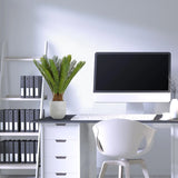 Pianta artificiale CYCAS di colore verde con vaso grigio su una scrivania di hjh OFFICE