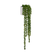 Pianta artificiale pendente Senecio Climb in colore verde con coprivaso bianco di hjh OFFICE