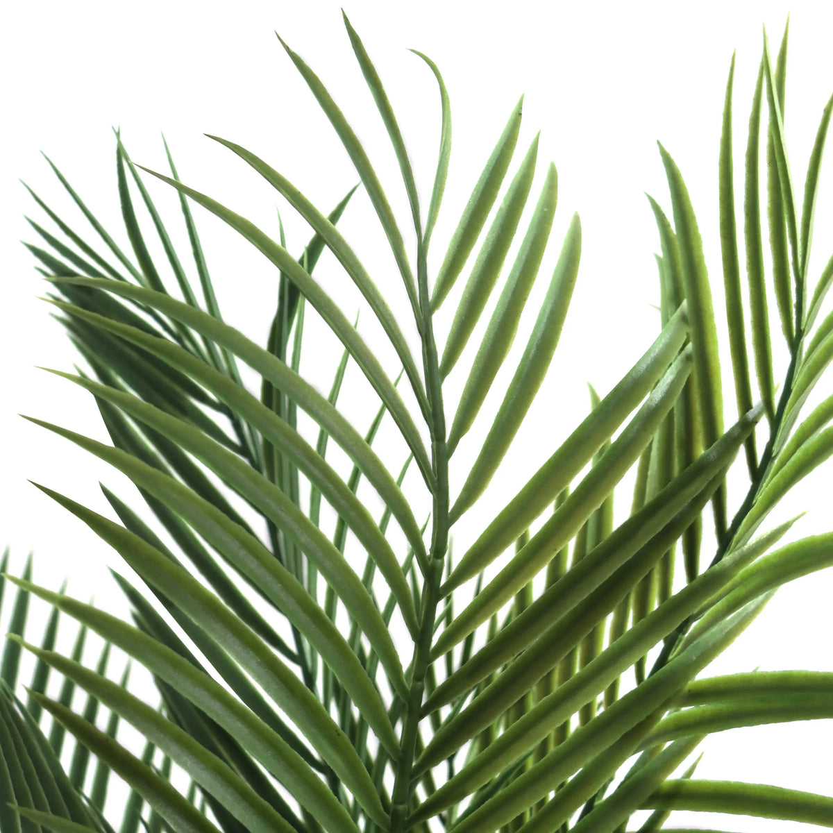 Foglie verdi della pianta artificiale DRACAENA di hjh OFFICE
