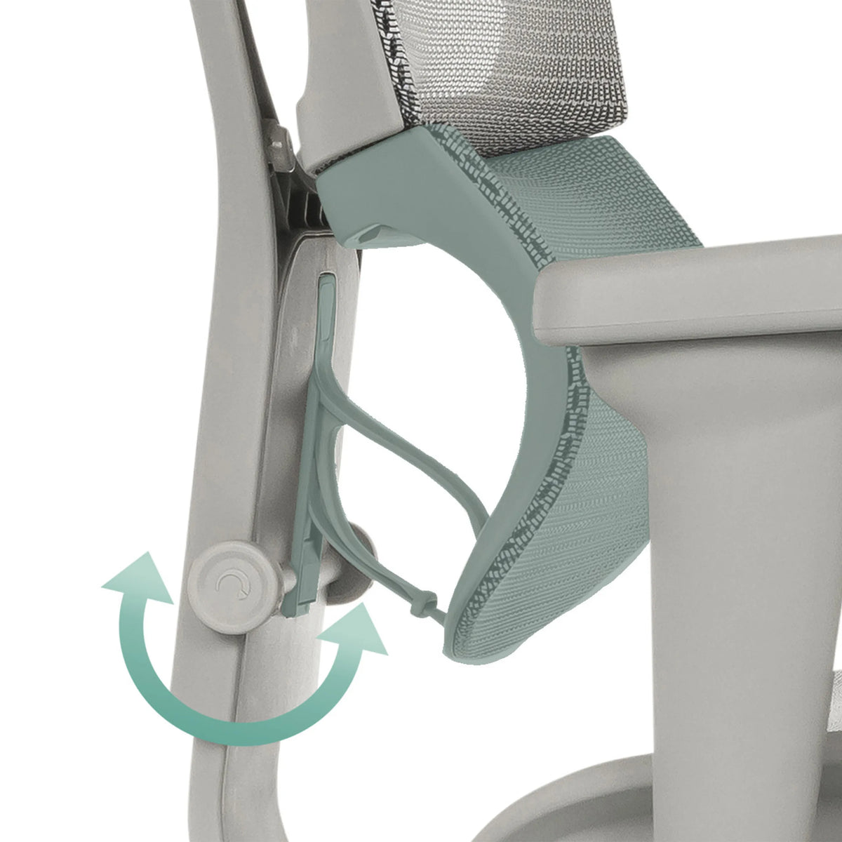 Supporto lombare regolabile della poltrona di lusso ERGOHUMAN SLIM ULTRA G GEN2 in grigio con manopola rotante di hjh OFFICE