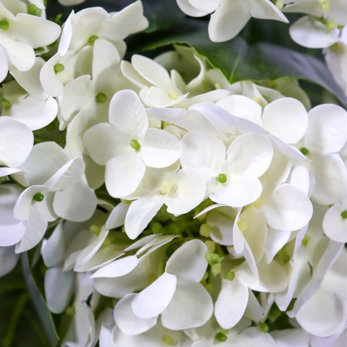 Fiori bianchi delle Piante artificiali HYDRANGEA con accenti verdi di hjh OFFICE