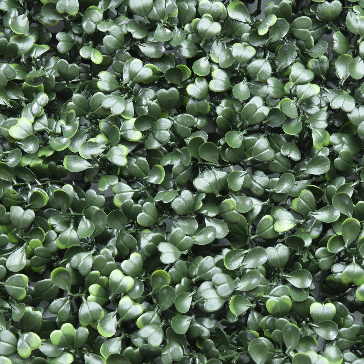 Foglie verdi del Pannello vegetale LEAFLUXE 1 di hjh LIVING