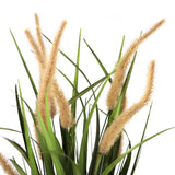 Erbe beige-verdi della pianta artificiale CORTADERIA I con spighe floreali soffici di hjh OFFICE