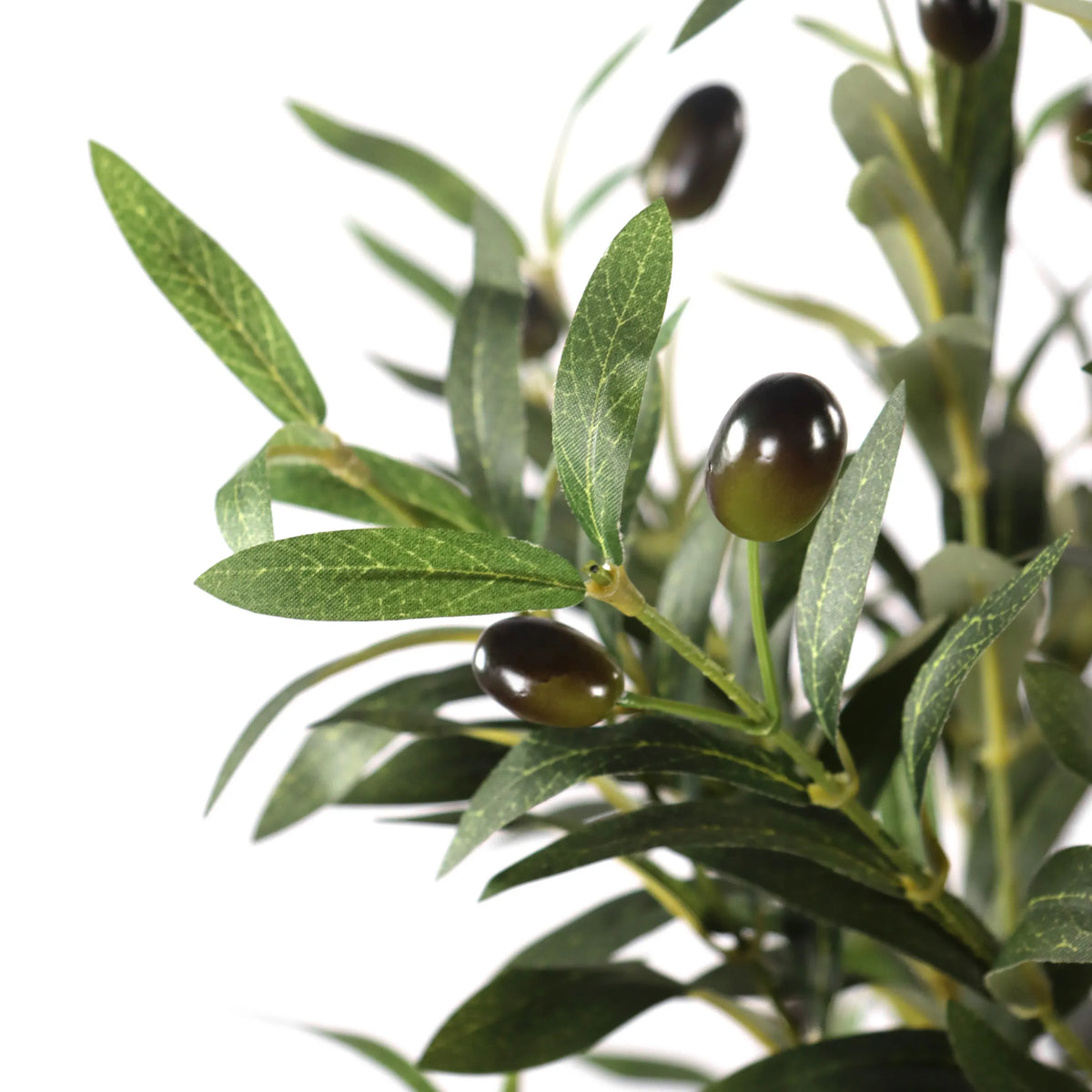 Foglie verdi e olive scure delle Piante artificiali OLIVE I di hjh OFFICE
