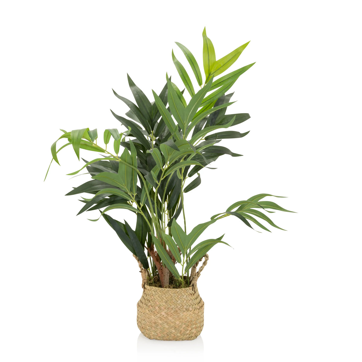 Pianta artificiale verde CHAMAEDOREA in un coprivaso intrecciato in materiale naturale di hjh OFFICE – vista a 360° (vista frontale 0°)