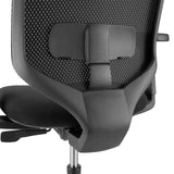 Supporto lombare dello schienale della Sedia da ufficio professionale Delvia in nero di hjh OFFICE