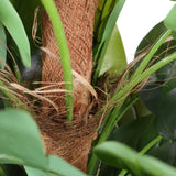 Tronco con fibre di cocco e foglie verdi della Piante artificiali EPIPREMNUM di hjh OFFICE