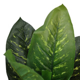 Foglie verdi della pianta artificiale DIEFFENBACHIA con venature più chiare di hjh OFFICE