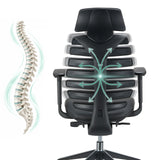 Schienale della sedia da ufficio professionale ERGO LINE II PRO con rappresentazione schematica della colonna vertebrale di hjh OFFICE