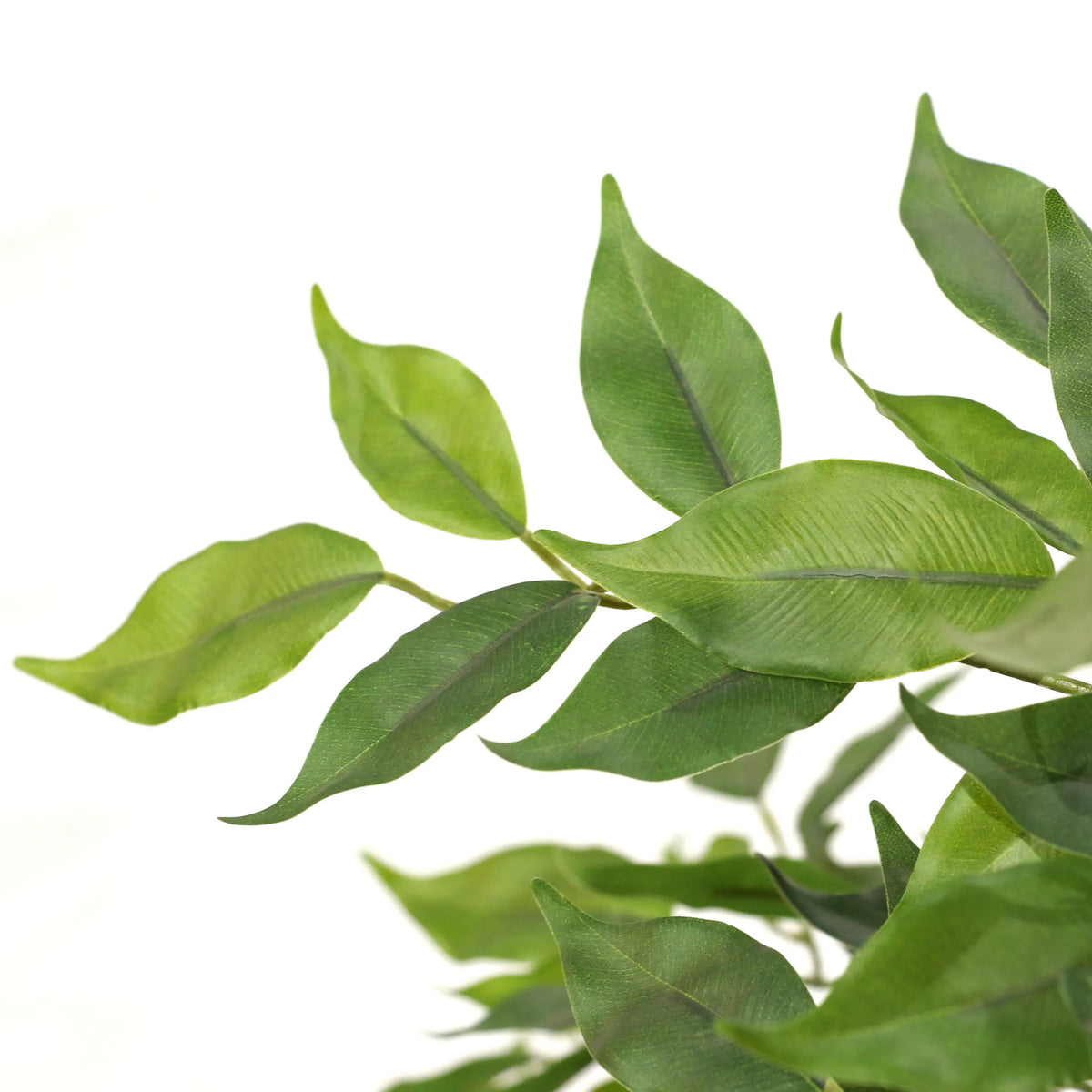 Foglie verdi della Piante artificiali FICUS I di hjh OFFICE
