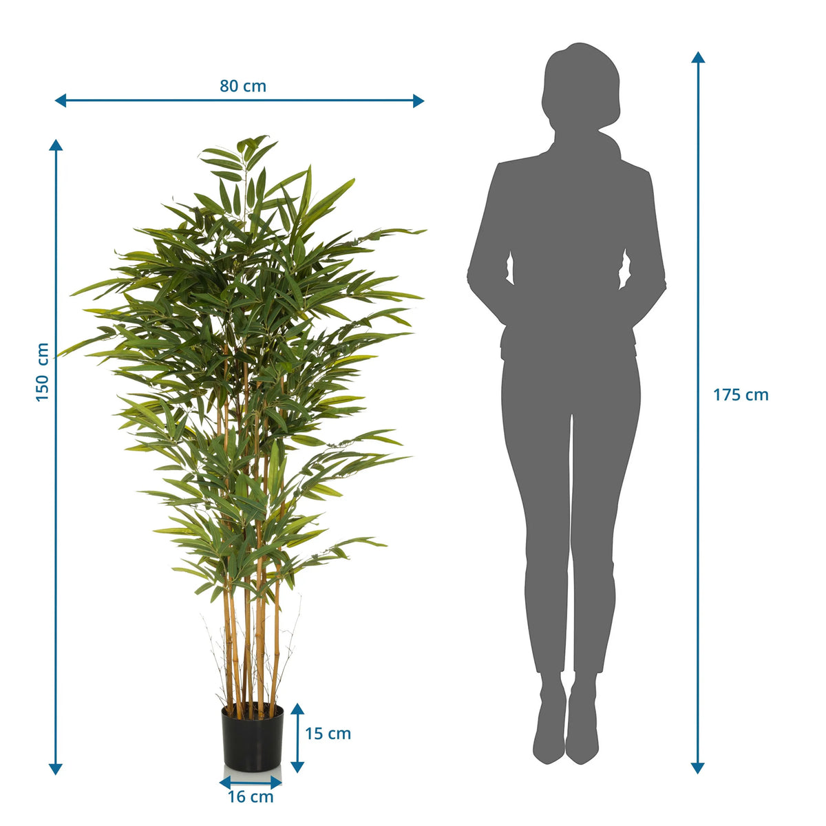 Disegno tecnico della Piante artificiali BAMBUS II con un'altezza di 150 cm e una larghezza di 80 cm di hjh OFFICE