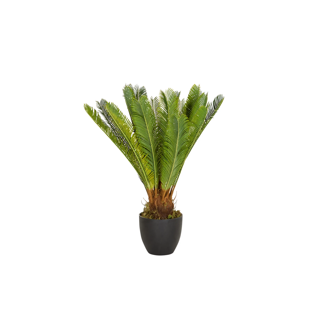 Piante artificiali verdi CYCAS in un vaso nero di hjh OFFICE – vista a 360° (vista frontale 0°)