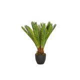 Piante artificiali verdi CYCAS in un vaso nero di hjh OFFICE – vista a 360° (vista frontale 0°)